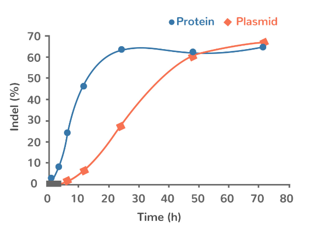 CAS9 Protein_소개2.PNG