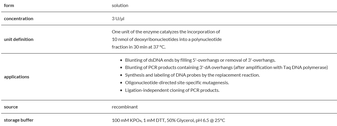 T4 DNA polymerase.PNG