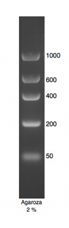 DNA Marker 2.PNG