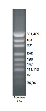 DNA Marker pUC.Msp I.PNG