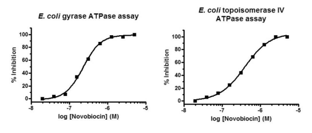 Topoisomerase ATPase assays.PNG