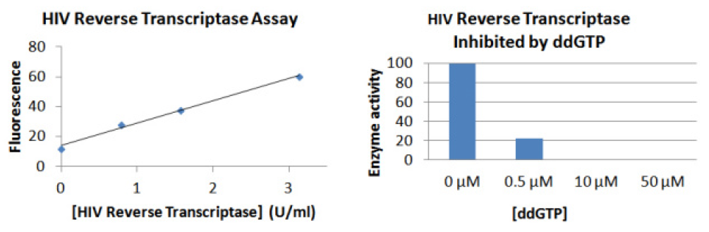 HIV reverse transcriptase.PNG
