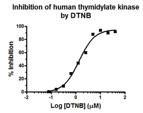 Human thymidylate kinase.PNG
