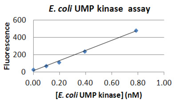 Bacterial UMP kinase.PNG