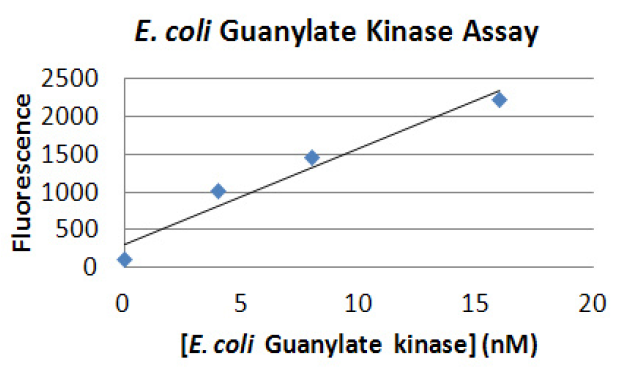 Bacterial guanylate kinase.PNG