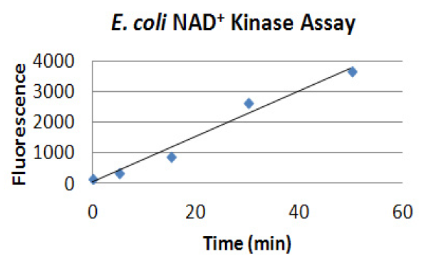 NAD+ kinase.PNG