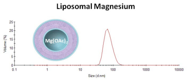 Liposomal Magnesium.PNG