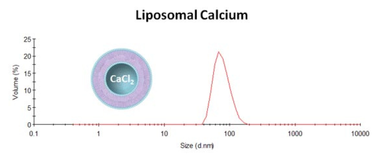 Liposomal Calcium.PNG