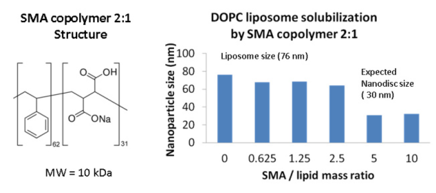 SMA copolymer 2^1 for 30 nm nanodiscs.PNG