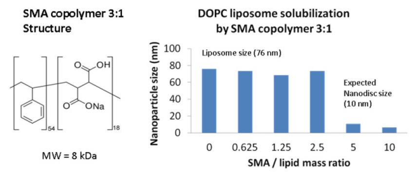 SMA copolymer 3-1.PNG