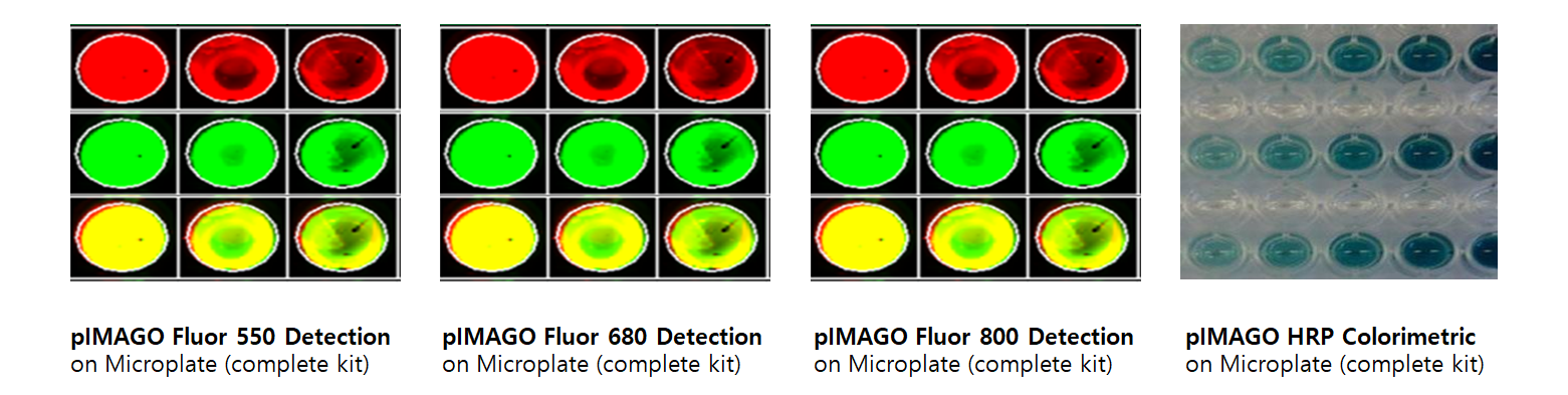 pIMAGO_Microplate.PNG