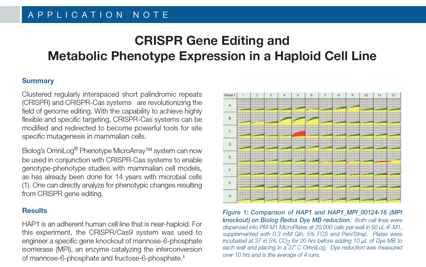 CRISPR Gene Editing and Metabolic Phenotype Expression in a Haploid Cell Line_1.PNG