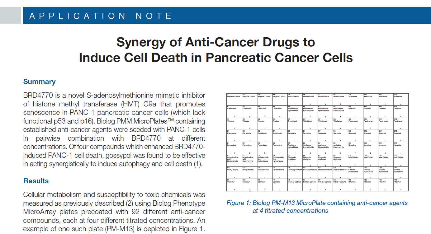 Synergy of Anti-Cancer Drugs to Induce Cell Death in Pancreatic Cancer Cells_1.PNG