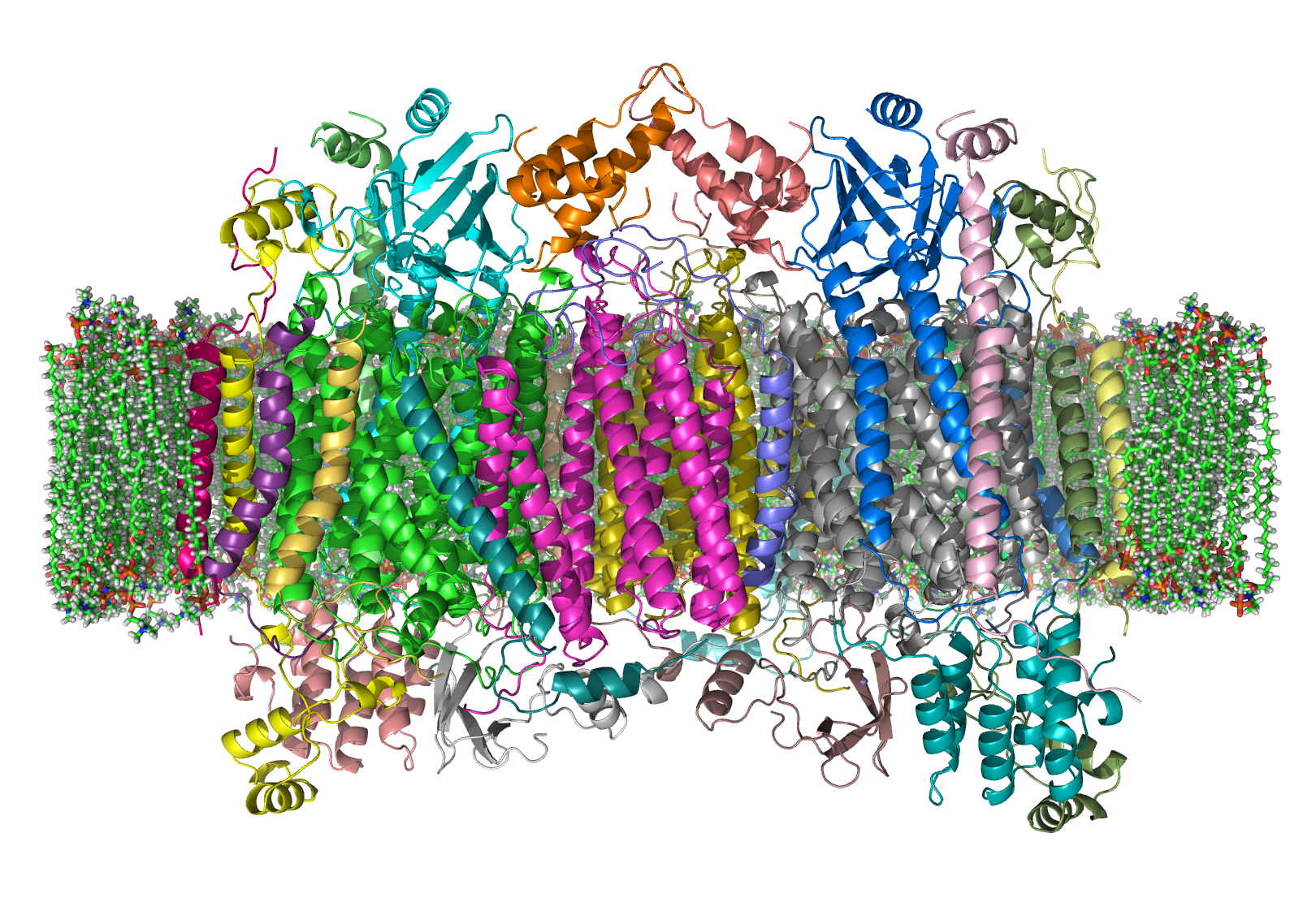 4-5-Magic™-Membrane-Protein-Production-Service-Fig-1.png