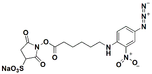 Sulfo-SANPAH-crosslinker-structure.gif