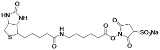 SULFO-NHS-LC-Biotin.gif