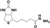 biotin-hydrazide.gif