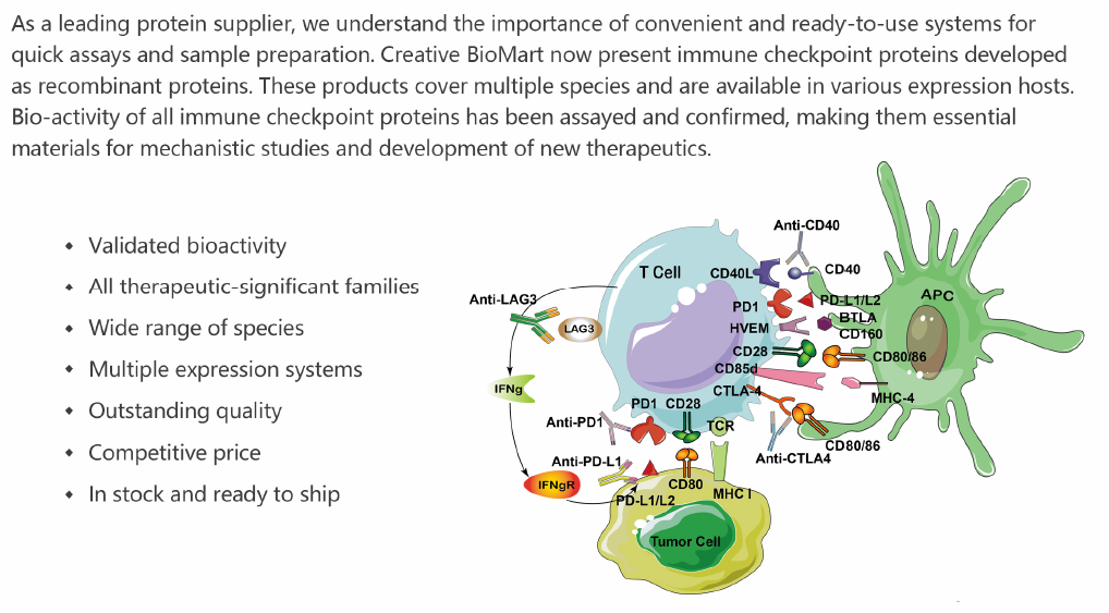 Immune-Checkpoint-Proteins_1.PNG