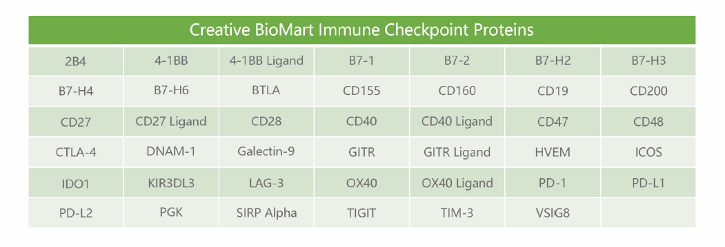 Immune-Checkpoint-Proteins_2.PNG