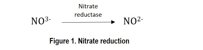 nitrato-reducatsa.jpg