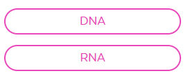 2. DNA,RNA.PNG