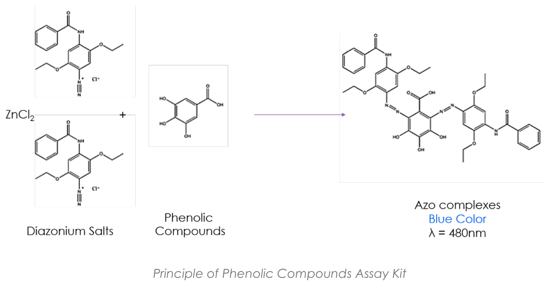Phenolic Compounds – Fast Blue.PNG