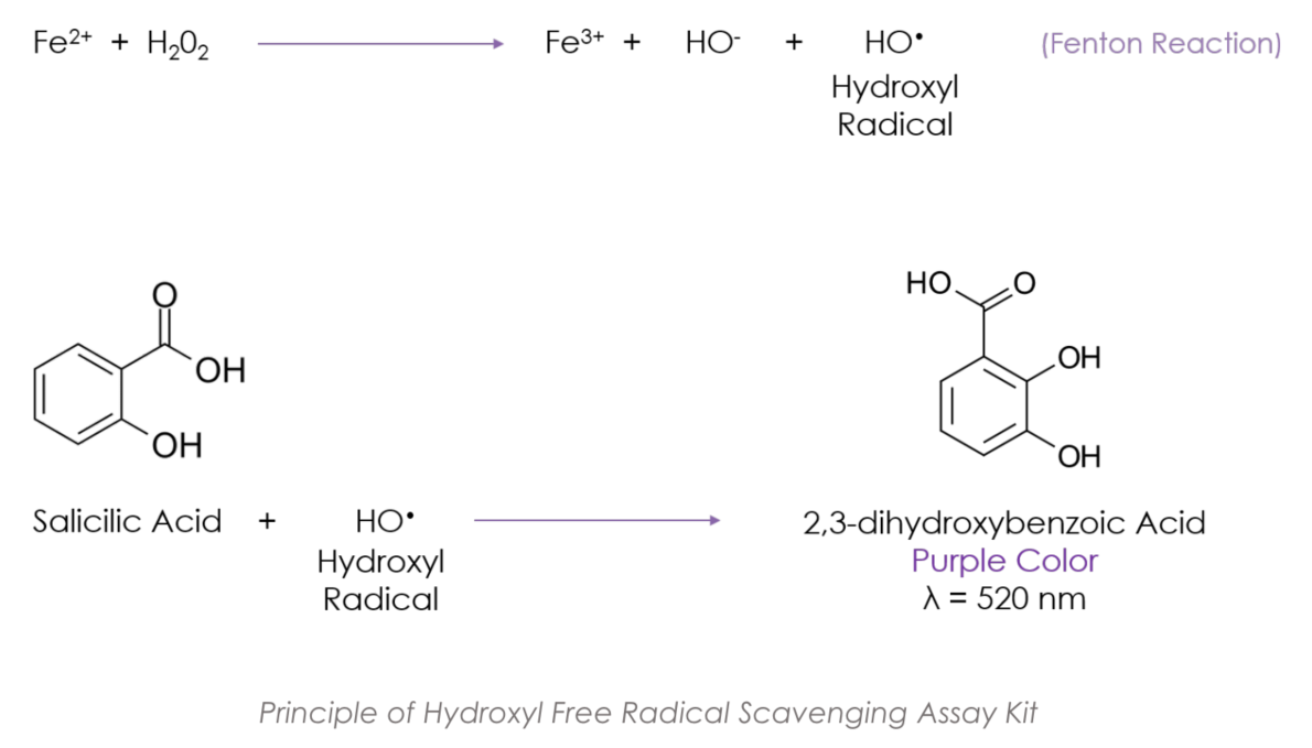 Hydroxyl Free Radical Scavenging Capacity assay kit.PNG