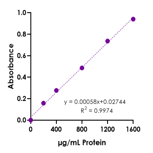 19.3.3_KB03005-BCA-Protein-Quantification-Assay-Kit-v04-500x500.png