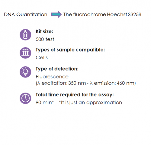 DNA-Quantitation-imagen-500x479.png