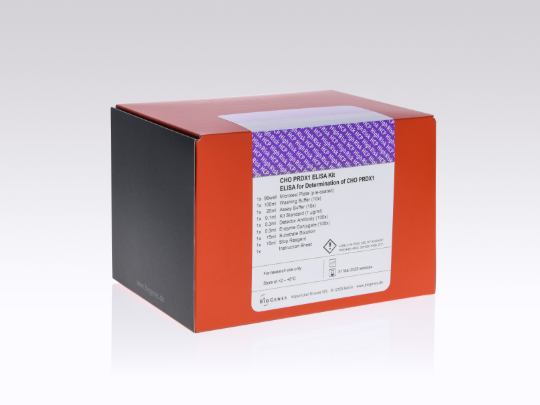 Screenshot 2026-01-27 120704.png