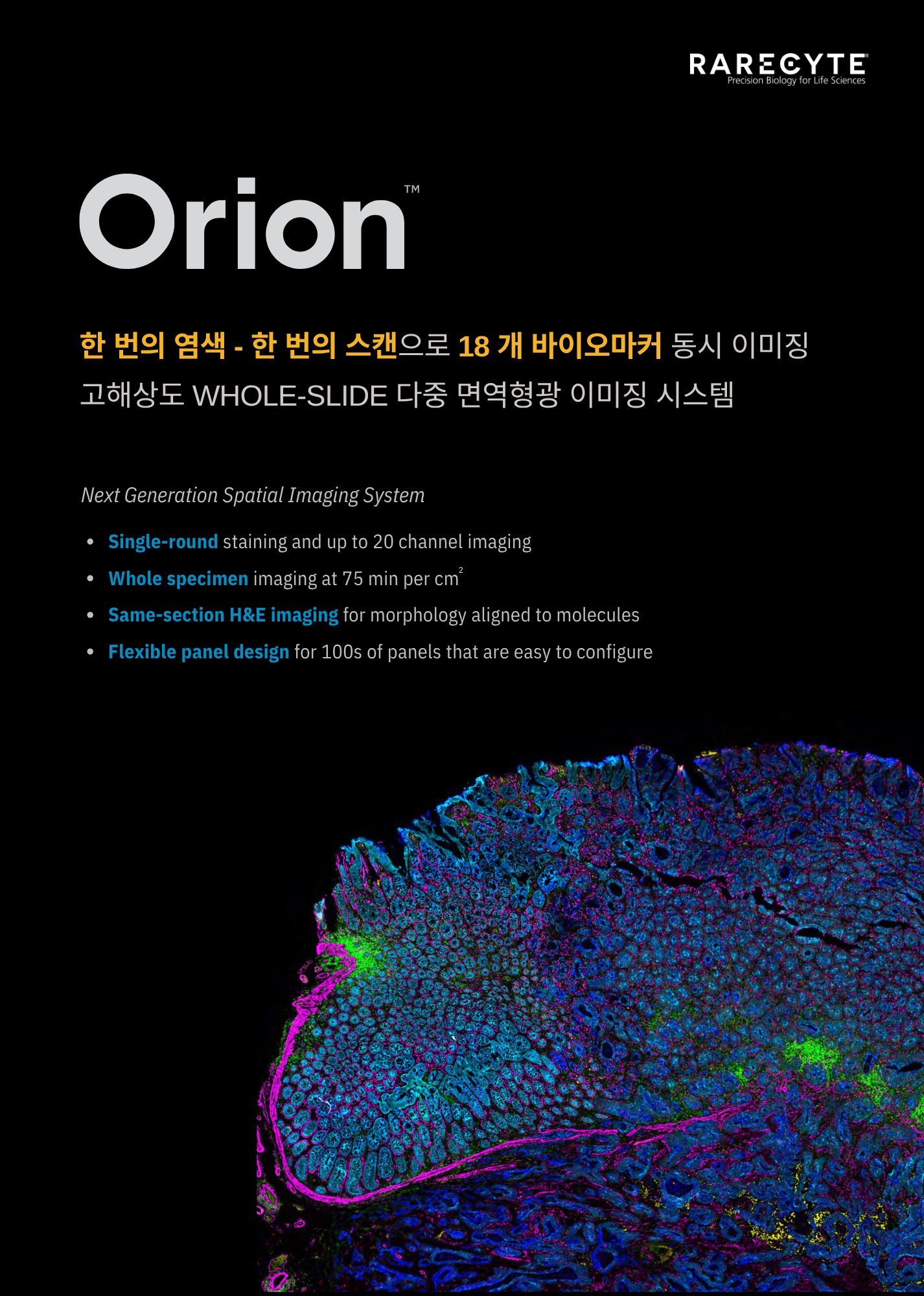 브로셔_Orion_202504 (1).png