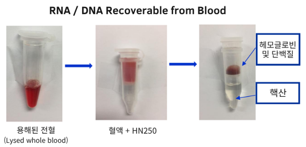 rna dna recoverable from blood.png