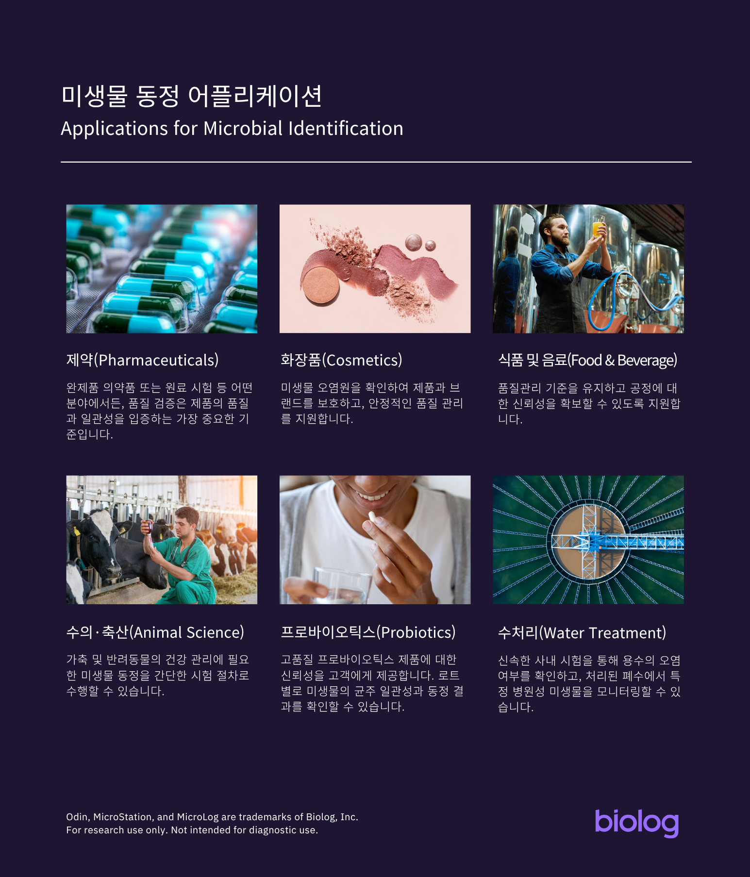 6 - 복사본.png