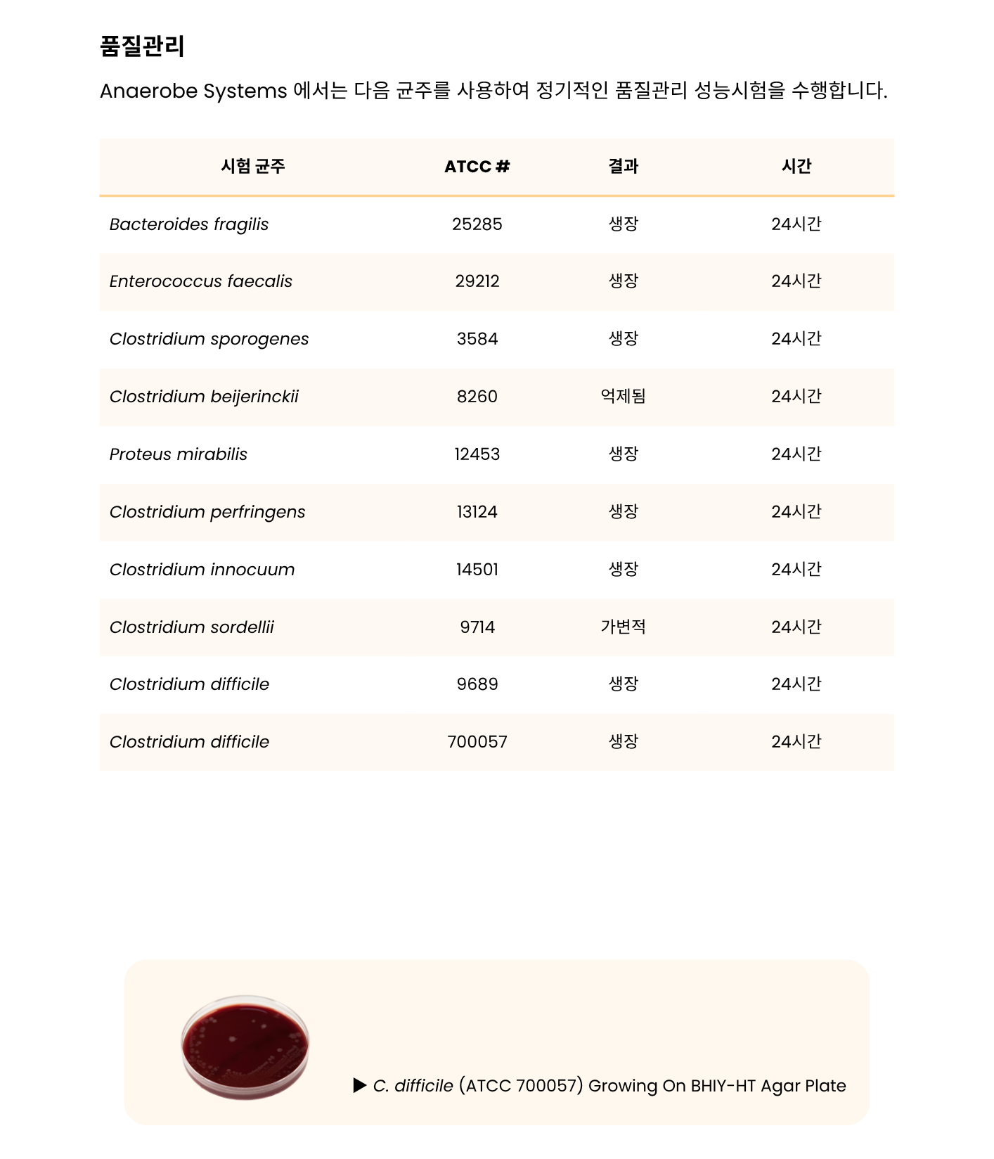 395 Brain Heart Infusion Agar w_ Horse Blood & Taurocholate – BHIY-HT3.png