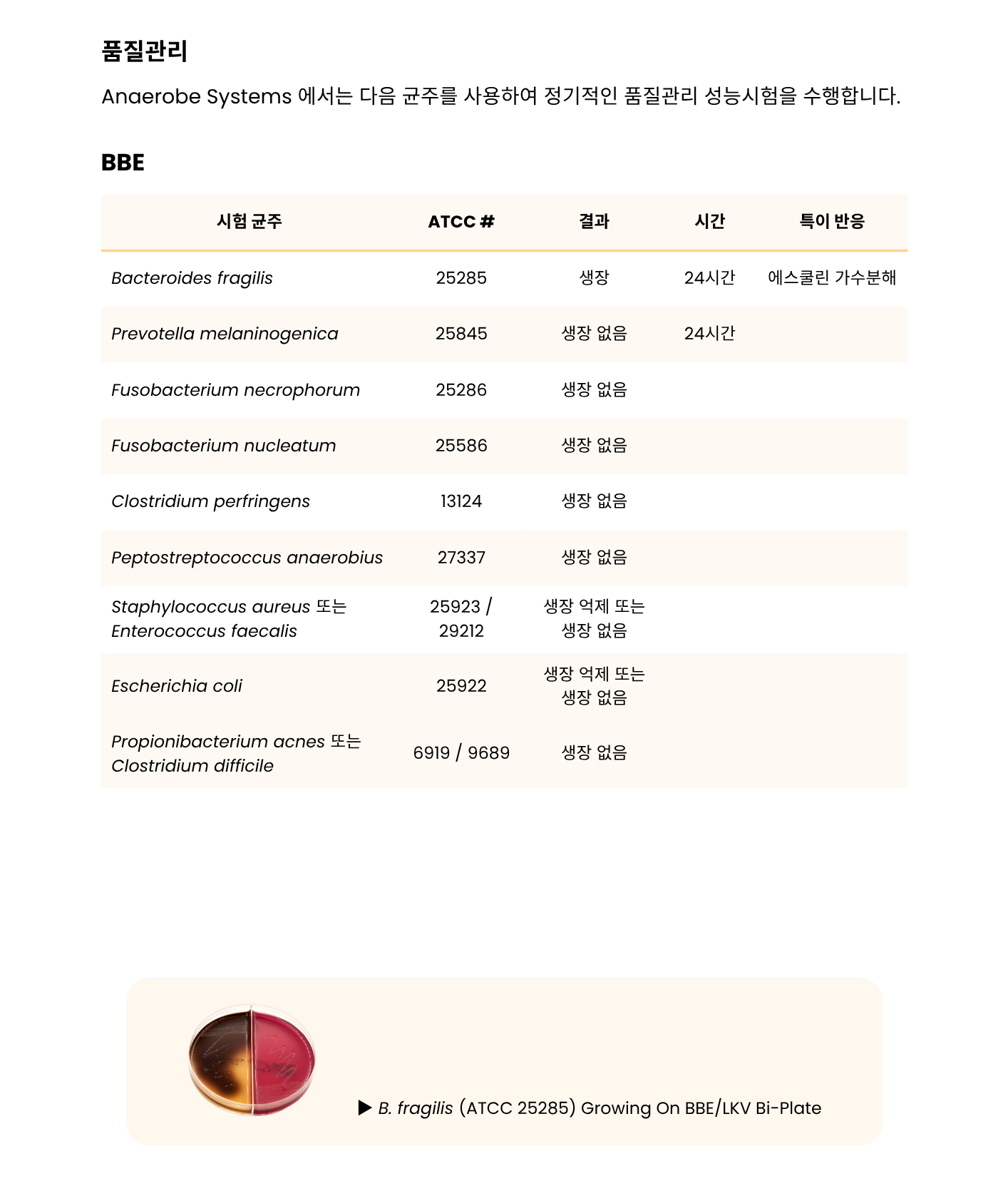 366 BRU mono _ BBE-LKV Biplate Plated Combo Packs5.png