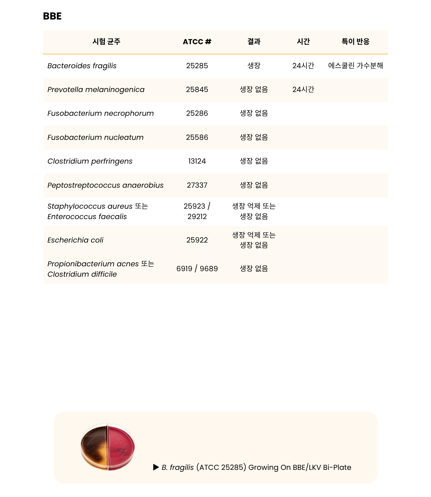 365 BRU mono _ BBE-PEA Biplate Plated Combo Packs6.png