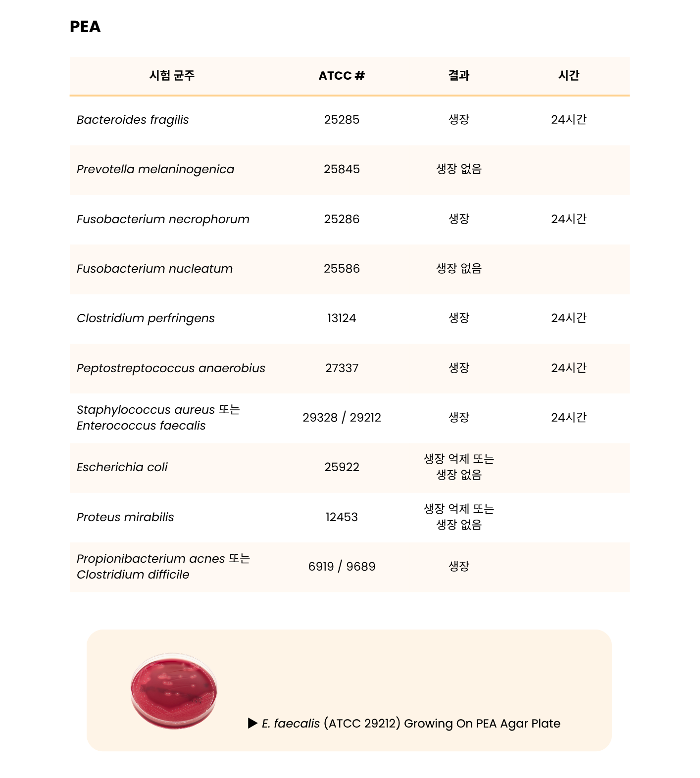 365 BRU mono _ BBE-PEA Biplate Plated Combo Packs7.png