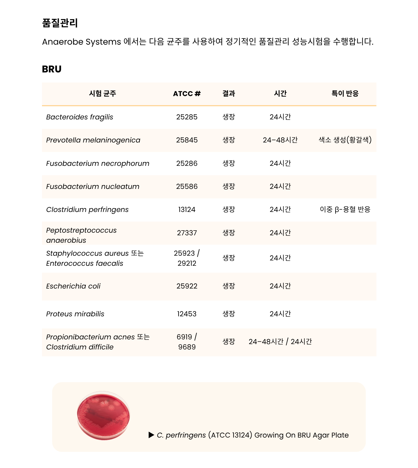 363 Brucella Blood Agar, Phenylethyl Alcohol Blood Agar, Bacteroides Bile Esculin Agar_Laked Brucella Blood Agar w_ Kanamycin and Vancomycin – BRU, PEA, BBE_LKV6.png